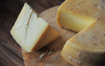 Il formaggio pecorino