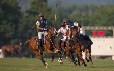 Il polo club