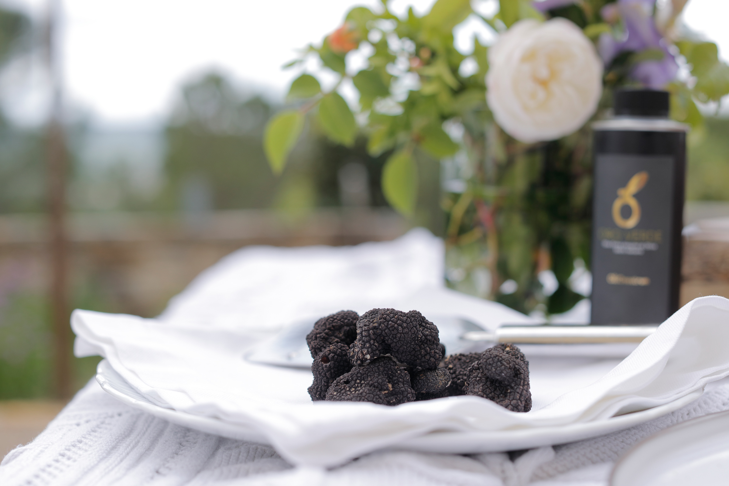 valdarno-tartufo_NED6799