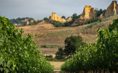 Vacanze nella natura del Valdarno