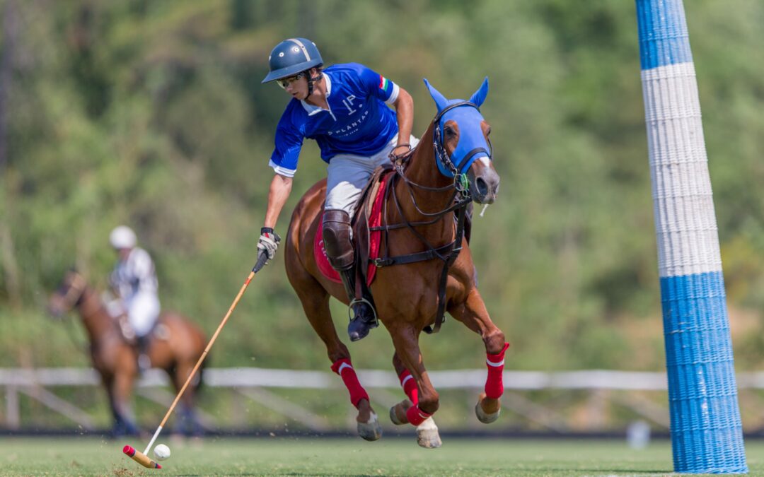 Una vacanza attiva nel Cuore del Valdarno: Golf e Polo