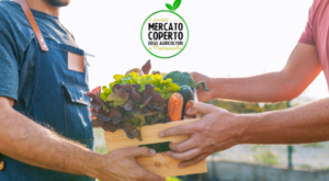 mercatale